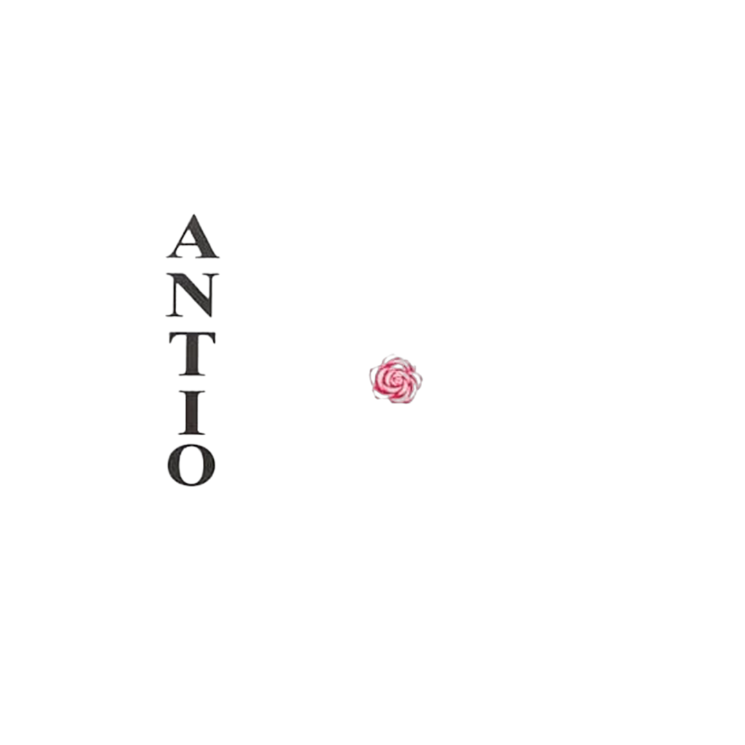 ANTIO Mascara Facial 280g