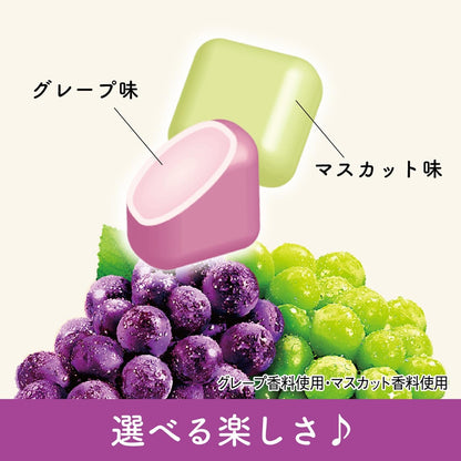 Lotte Zero-Chewing Candy Uva & Moscatel